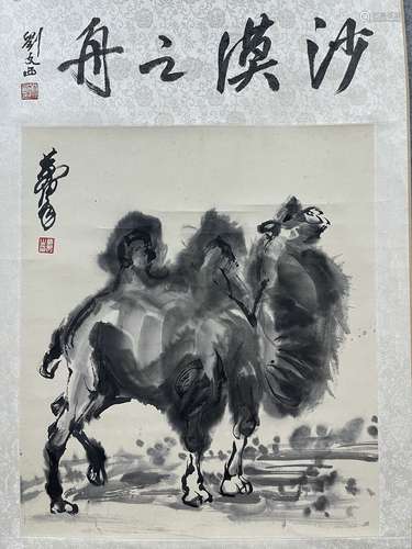 Camel, Huang Zhou