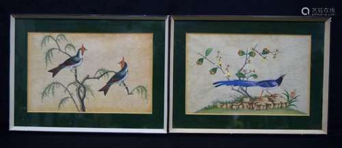 A pair of 19th century framed prints of exotic birds in a tr...