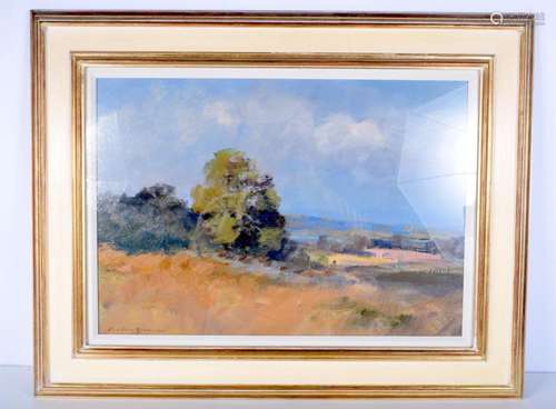 A framed oil on board by Peter Burman of a rural scene in Fe...