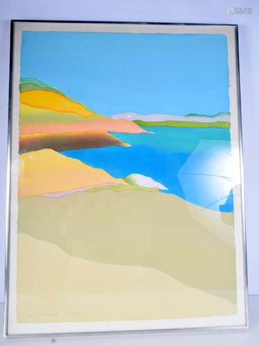 A large framed pochoir print by Elizabeth Osborne entitled &...