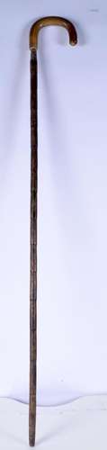 A Rhino handled cane 92 cm.