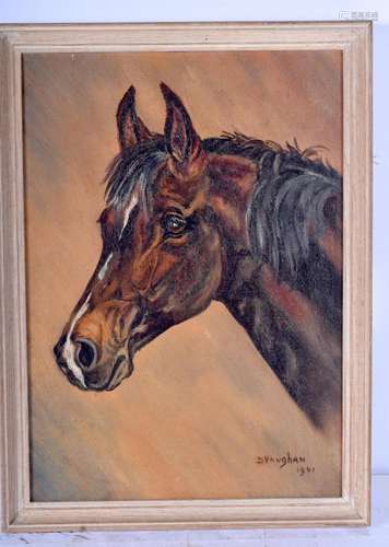 A small framed oil on canvas of a horse by D Vaughan 34 x 24...