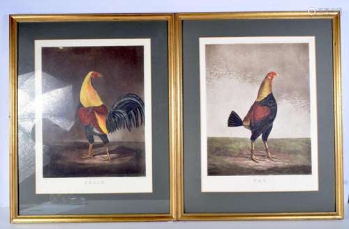 A pair of framed coloured engravings of cocks by B Marshall ...