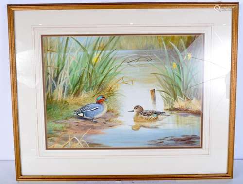 A framed watercolour by R Robjent of "Male and female T...