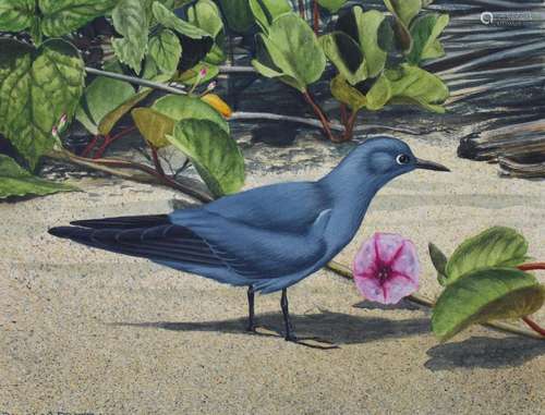 H. Douglas Pratt (B. 1944) "Blue-gray Noddy" Oil