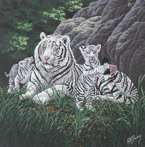 R.G. Finney (B. 1941) "White Siberian Tiger" Oil