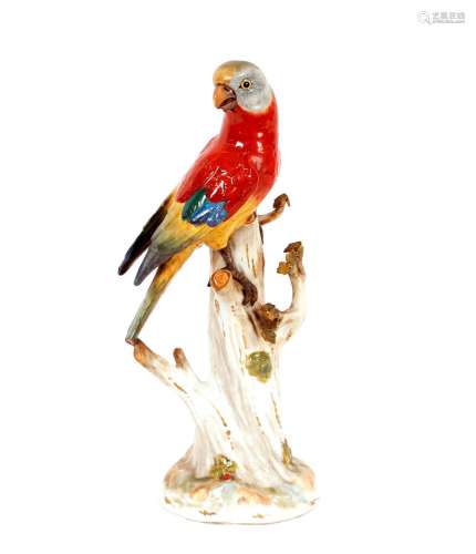 A German porcelain study of a parrot,perched on a tree stump...