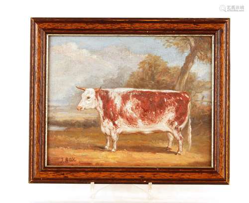 J Box, study of a prize bull, signed oil on canvas, laid on ...