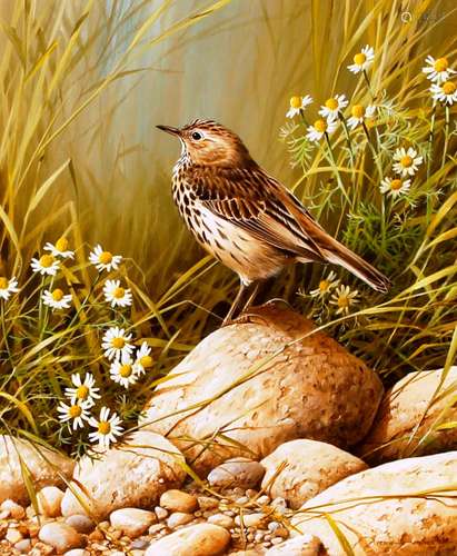 Terence James Bond born 1946,signed oil, study of a Thrush a...