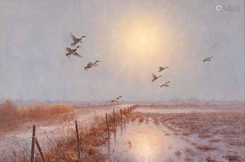 Julian Novorol,ducks in flight at first light, signed oil on...