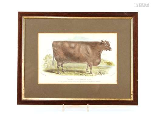 A collection of four Victorian coloured lithographs,of Exagg...