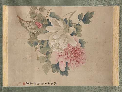 Peony, Miao Jiahui