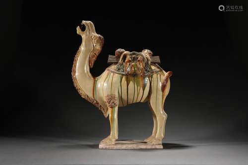 Chinese Tang Tri-Color Glazed Ceramics Camel