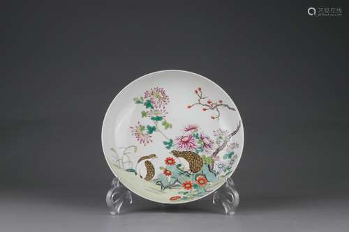 Famille Rose Dish, Qianlong Reign Period, Qing Dynasty