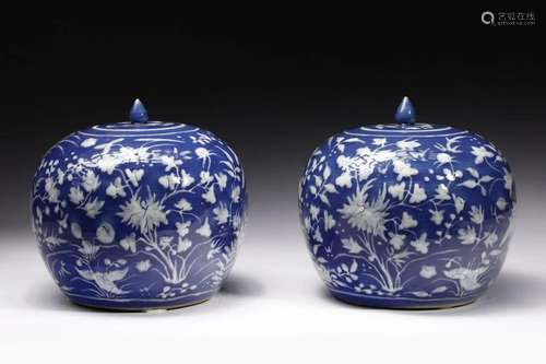 Arte Cinese A pair of blue and white potiches China,