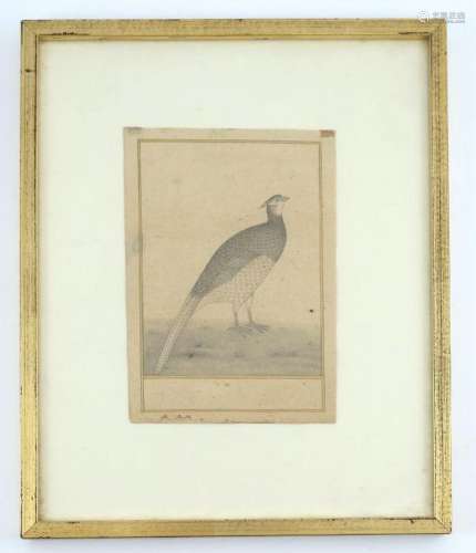 Indian school (20th century), ornitholog