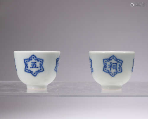 A pair of blue and white cup