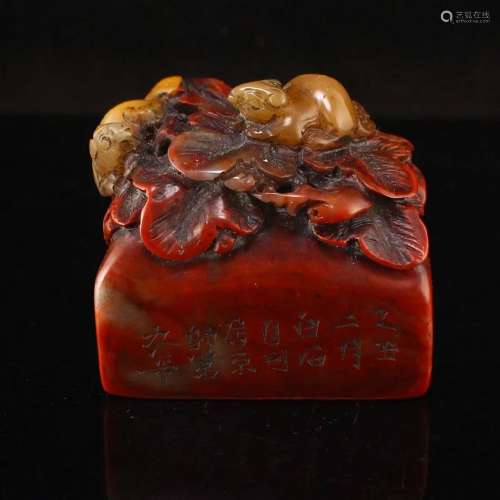 Chinese Shoushan Stone Squirrel Seal