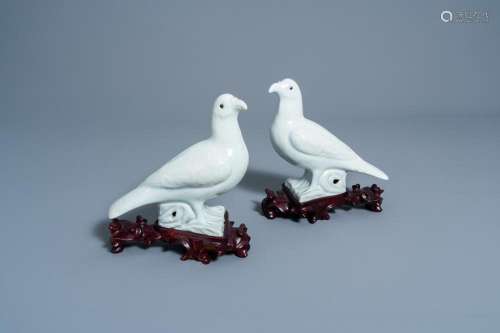 A PAIR OF CHINESE BLANC DE CHINE MODELS OF PIGEONS, 19TH C.