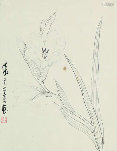 1915～1968 张其翼 水仙画稿 纸本水墨 镜心