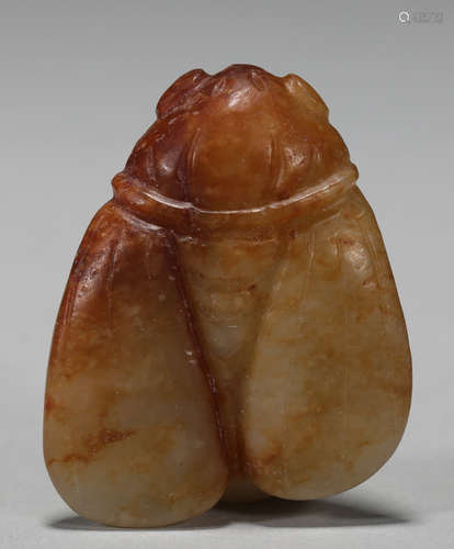 In the Ming dynasty jade cicada