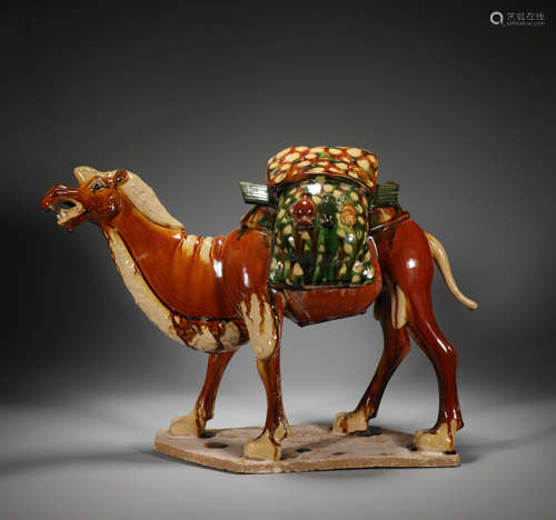 Tricoloured camel in tang Dynasty