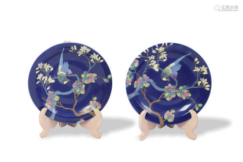 Pair of Chinese Blue Famille Rose Chargers, 19th