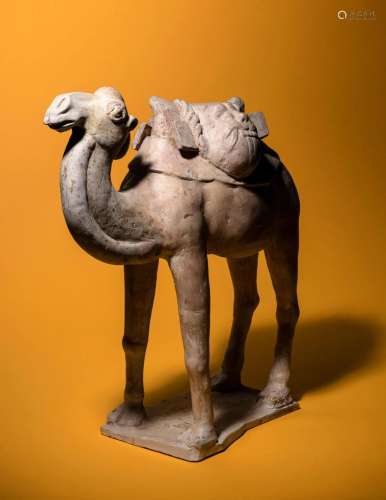 A Painted Pottery Figure of a Camel Height 21 in., 53.3 cm.
