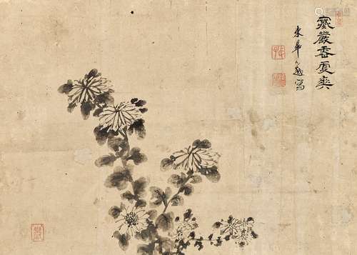 東皋心越（1639-1696） 墨菊圖