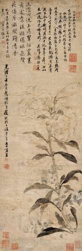 張 洽（1718-1799) 百合花軸