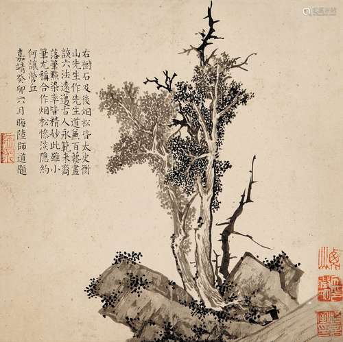 文徵明(款) 柏樹