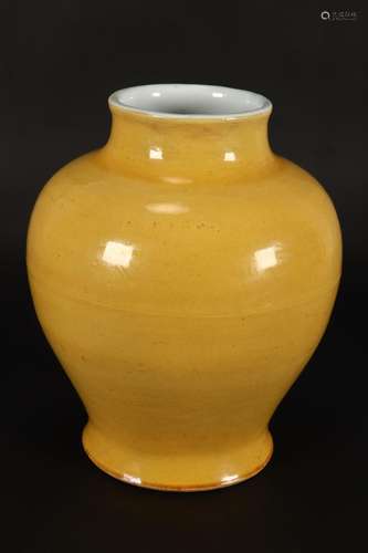 Chinese Monochrome Porcelain Vase,