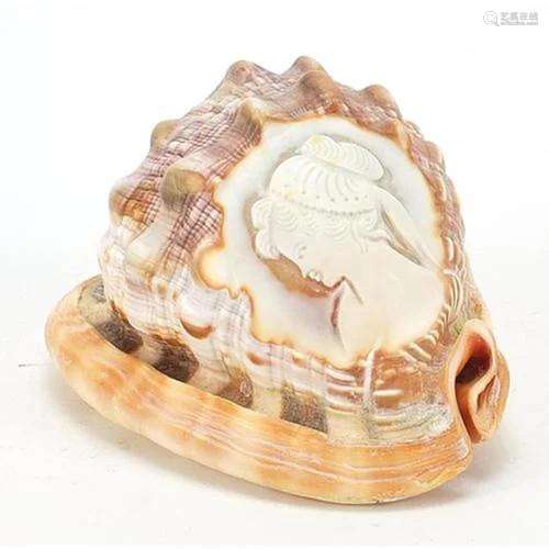 Cameo conch shell carved with a maiden head, 13cm in length