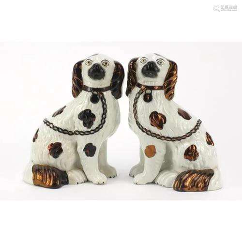 Pair of Staffordshire style seated Spaniels, 23cm high