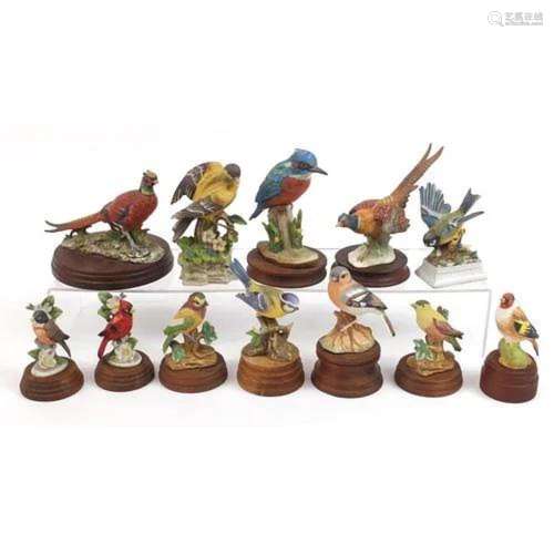Twelve collectable hand painted porcelain birds, some raised...