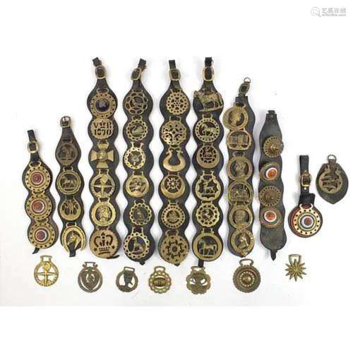 Victorian and later horse brasses and martingales