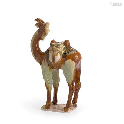 A Sancai-Glazed Pottery Caparisoned Camel  Tang dynasty