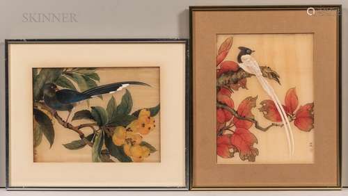 Two Bird-and-Flower Paintings