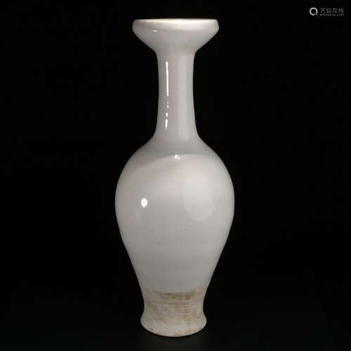 White Glaze Porcelain Bottle, China