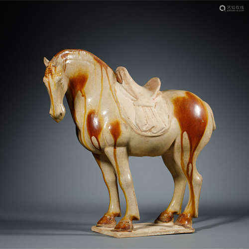 Tang Dynasty , Tri-Color Glazed, Horse