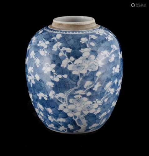 Chinese Kangxi Period Blue and White Prunus Jar (H18.5cm)