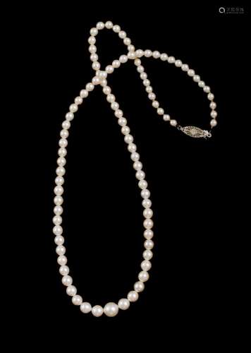 Graduated 'Mikimoto' Pearls with 10ct Clasp 3.5 to 7...