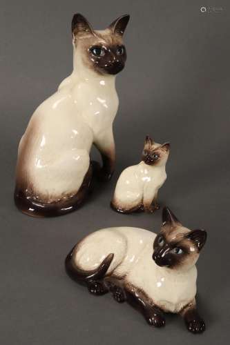 Three Bewsick Siamese Cats,