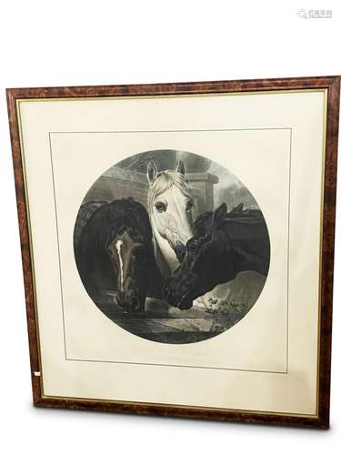 Victorian Equine Etching,