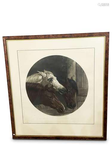 Victorian Equine Etching,