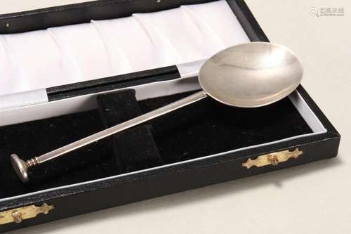 Contemporary Sterling Silver Spoon