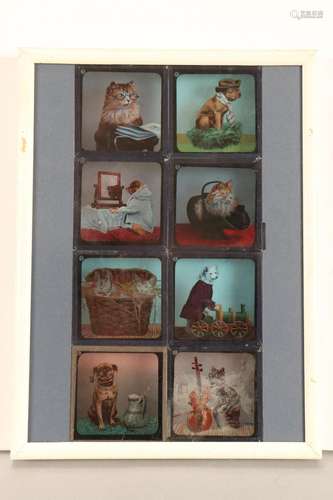 Framed Magic Lantern Glass Slides,