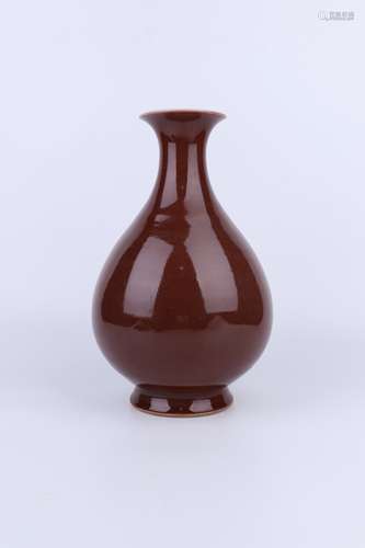 Qing Dynasty Red Glaze Porcelain Bottle, China