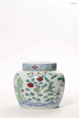 Doucai Glaze Lotus Pond Jar