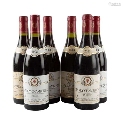 DOMAIN HARMAND-GEOFFROY 6 Flaschen GEVREY-CHAMBERTIN 2003